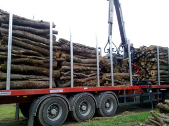camion